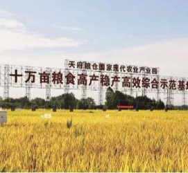 大丰关于成都商务伴游外围雇用的信息