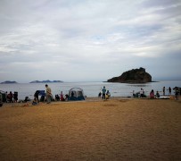 大丰五日游(五日游戏)