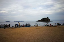 大丰五日游(五日游戏)