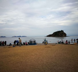 大丰五日游(五日游戏)