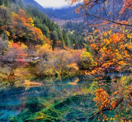 大丰四川旅游攻略(四川旅游攻略十五日游)