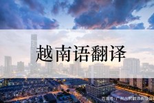 大丰越南翻译兼职伴游(在越南怎样找私人翻译)