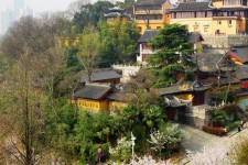 大丰南京周边游(南京周边游景点大全 自驾车旅游)