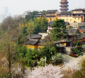 大丰南京周边游(南京周边游景点大全 自驾车旅游)