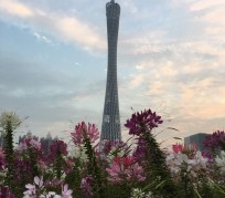 大丰广州旅游攻略(杭州到广州旅游攻略)