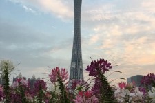 大丰广州旅游攻略(杭州到广州旅游攻略)