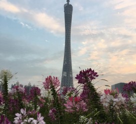 大丰广州旅游攻略(杭州到广州旅游攻略)