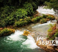 大丰去哪里旅游好(七月八月去哪里旅游好)