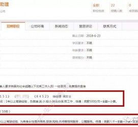 大丰出国伴游雇用(全国高薪雇用伴游)