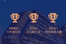 大丰上海私人伴游 ​ “小而美”的新时代：2020年国内新跟团消费报告