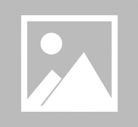 大丰最新导游伴游雇用信息(最新导游伴游雇用信息大全)