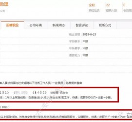 大丰广州伴游雇用平台(广州私家助理伴游雇用)