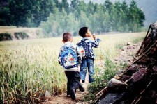大丰河南一家四口结伴游中国2个月(河南适合一家四口旅游的地方)