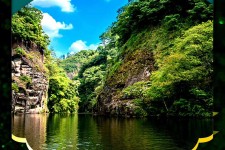 大丰旅游报价(旅行团旅游报价)