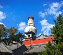 大丰游玩景点(游玩景点有哪些)