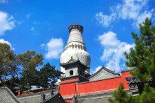 大丰游玩景点(游玩景点有哪些)
