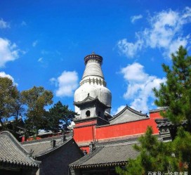 大丰游玩景点(游玩景点有哪些)