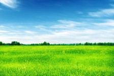 大丰上海伴游 上海模特伴游微信号的交友宣言