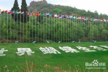 大丰昆明旅游攻略(昆明旅游攻略景点大全抚仙湖)