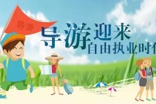 大丰私人伴游 “网约导游”到底是正流行 还是不热闹