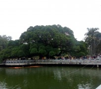 大丰福州旅游攻略(福州旅游攻略二日游)