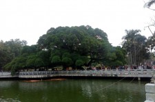 大丰福州旅游攻略(福州旅游攻略二日游)