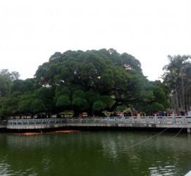 大丰福州旅游攻略(福州旅游攻略二日游)