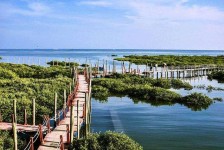 大丰旅游哪里好玩(云南旅游哪里好玩)