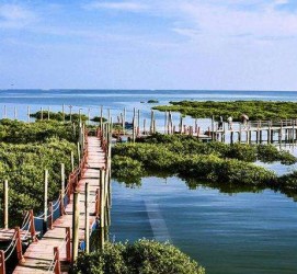 大丰旅游哪里好玩(云南旅游哪里好玩)