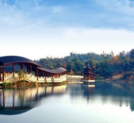 大丰景点介绍(景点介绍模板)