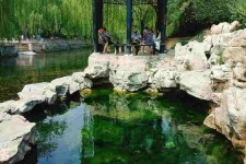大丰济南旅游攻略(青岛威海济南旅游攻略)