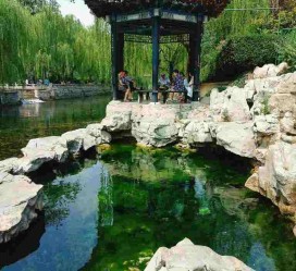 大丰济南旅游攻略(青岛威海济南旅游攻略)