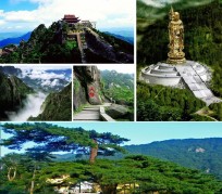 大丰景点介绍(景点介绍英文)