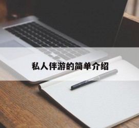 大丰私人伴游 私人陪旅游app哪个最好