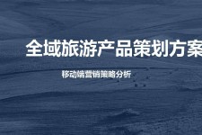 大丰旅游方案(旅游方案策划书模板)