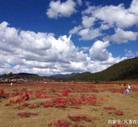 大丰旅游去处(暑期最好的旅游去处)