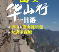 大丰一日游(一日游需要准备些什么东西?)