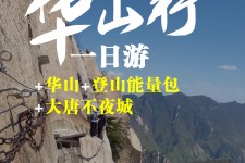 大丰一日游(一日游需要准备些什么东西?)