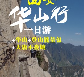 大丰一日游(一日游需要准备些什么东西?)