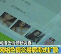 大丰上海伴游 伴游女郎白天陪玩晚上陪睡 网络跑火日薪过万(图)
