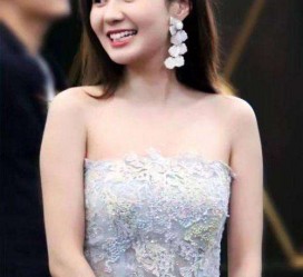 大丰cnbanycom伴游中国明星的简单介绍