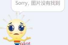 大丰选美蜜斯(世界选美蜜斯)