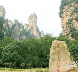 大丰自驾旅游攻略(自驾旅游攻略app排行榜)