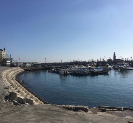 大丰大连旅游攻略(大连旅游攻略自由行)