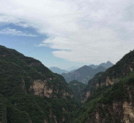 大丰伴游中国伴游城(伴游网上海)