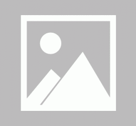 大丰商务伴游招聘 不法分子冒充宾馆网上高薪招吧女要求思想前卫