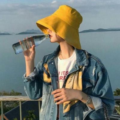 大丰让伴游为你导游，尽享玩耍的乐趣