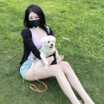大丰伴游女生雪域精灵的资料